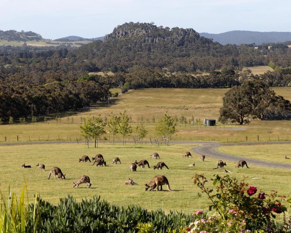 Hanging Rock Views Woodend Exterior foto